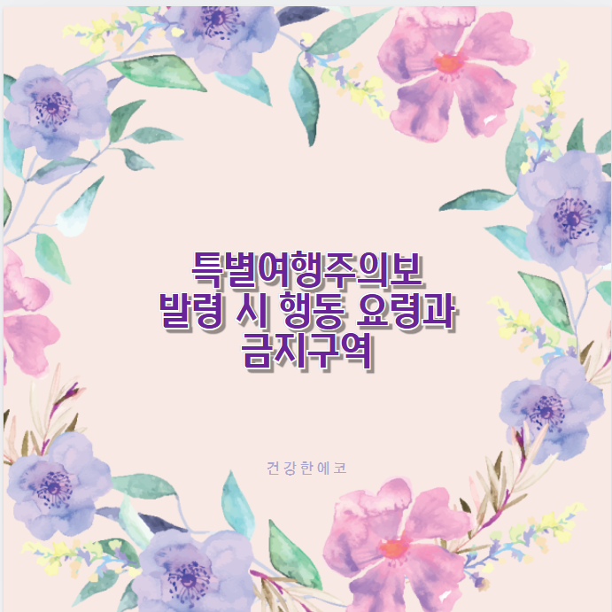 특별여행주의보 발령 시 행동 요령과 금지구역