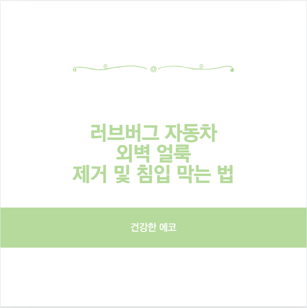 러브버그 자동차 외벽 얼룩 제거 및 침입 막는 법