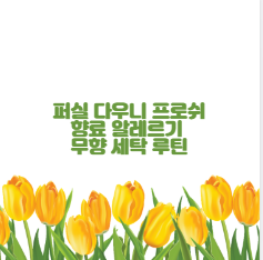 퍼실 다우니 프로쉬 향료 알레르기 무향 세탁 루틴