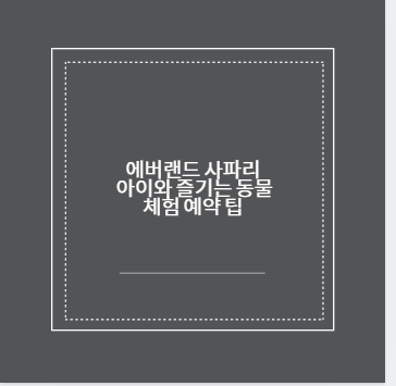 에버랜드 사파리 아이와 즐기는 동물 체험 예약 팁