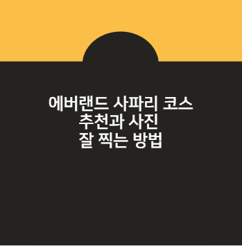 에버랜드 사파리 코스 추천과 사진 잘 찍는 방법