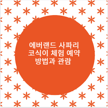 에버랜드 사파리 코식이 체험 예약 방법과 관람