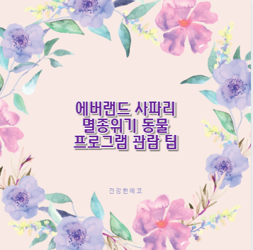 에버랜드 사파리 멸종위기 동물 프로그램 관람 팁