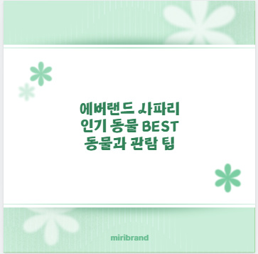 에버랜드 사파리 인기 동물 BEST 동물과 관람 팁