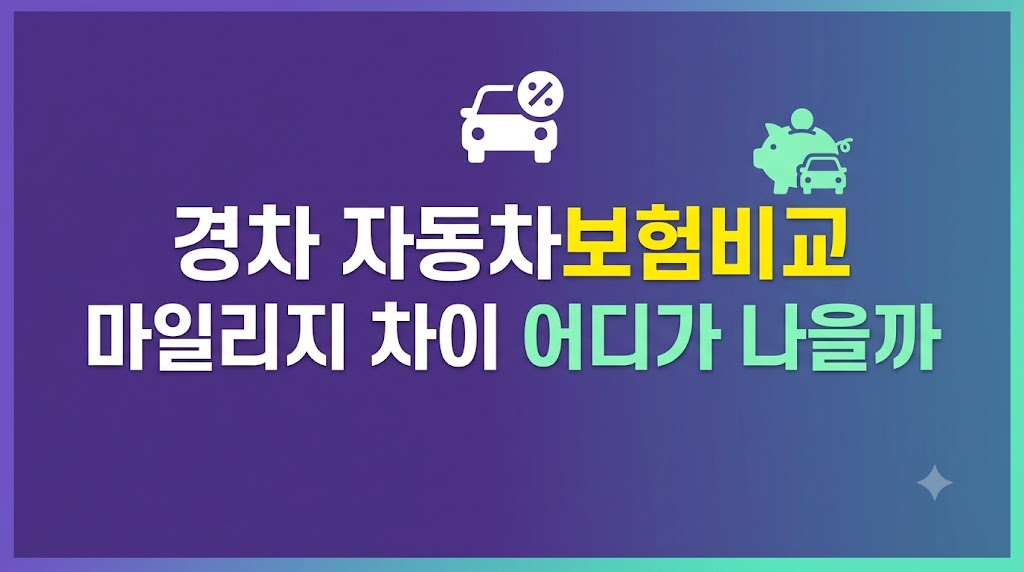 경차 자동차보험비교 설정 화면 장면
